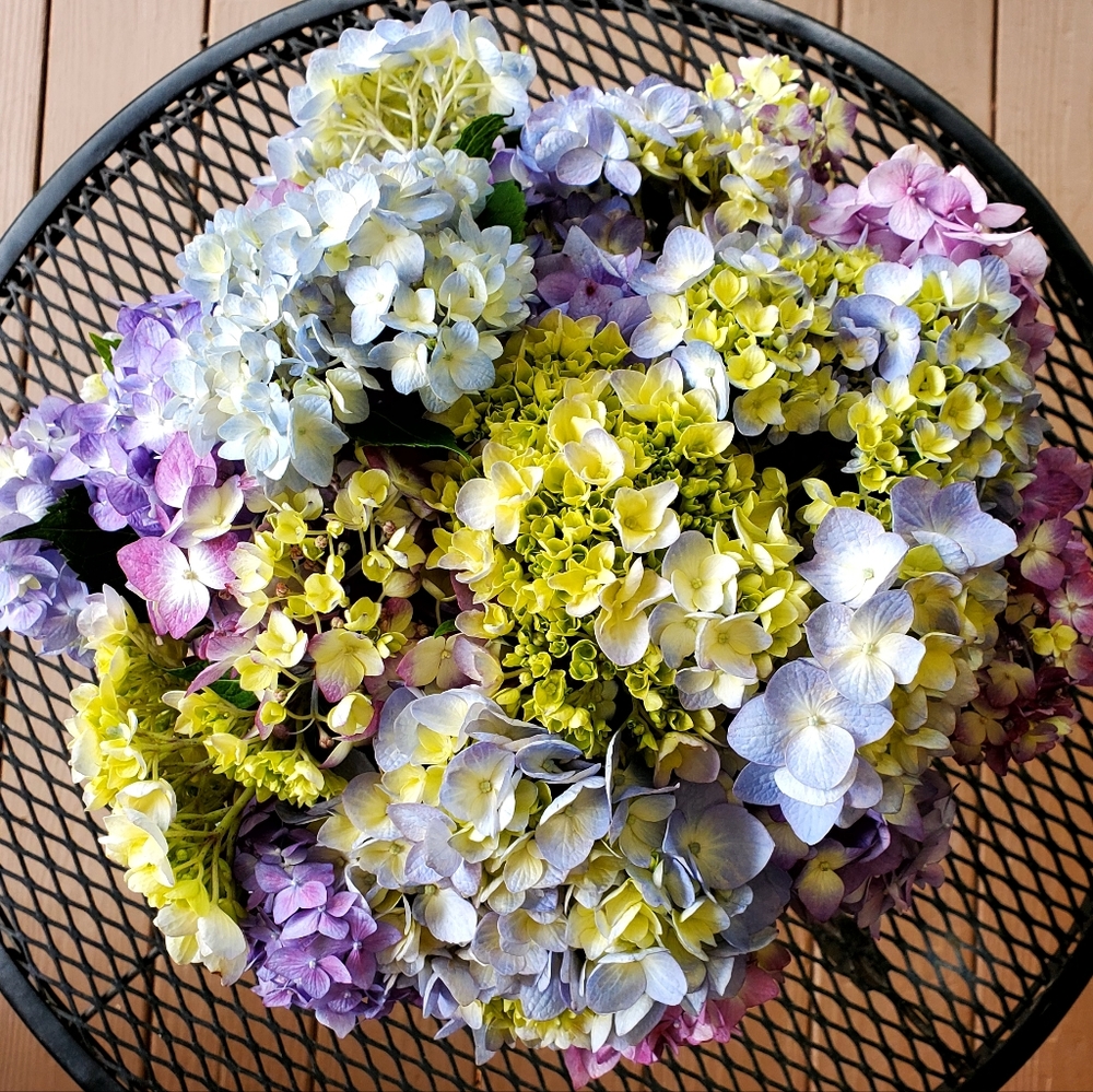 Have A Wonderful Day!